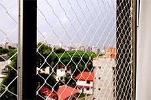 rede-gatos-3